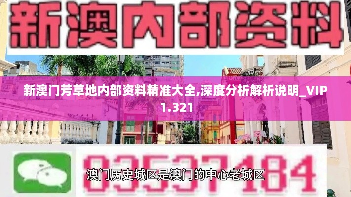 新澳门芳草地内部资料精准大全,深度分析解析说明_VIP1.321