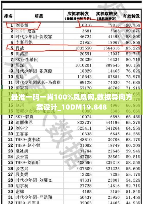 最准一码一肖100%凤凰网,数据导向方案设计_10DM19.848