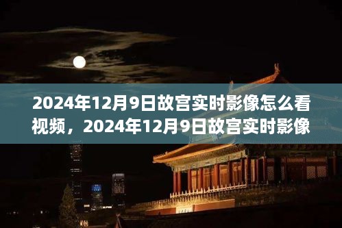 2024年12月10日 第20页