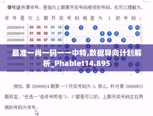 最准一肖一码一一中特,数据导向计划解析_Phablet14.895