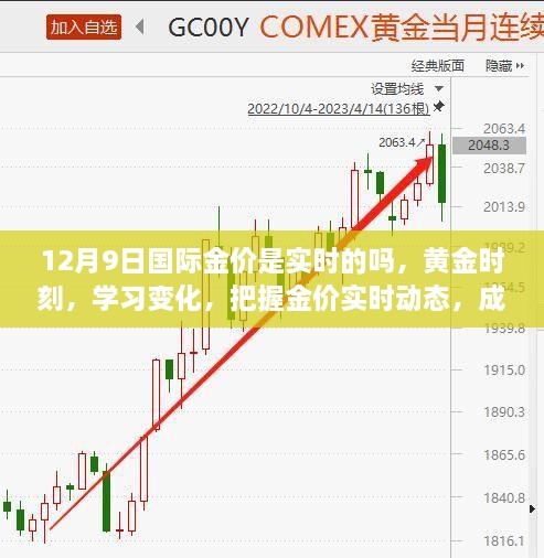 黄金时刻，把握金价实时动态，成就自信人生之路