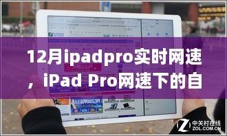 iPad Pro网速下的自然探索，实时体验与心灵之旅