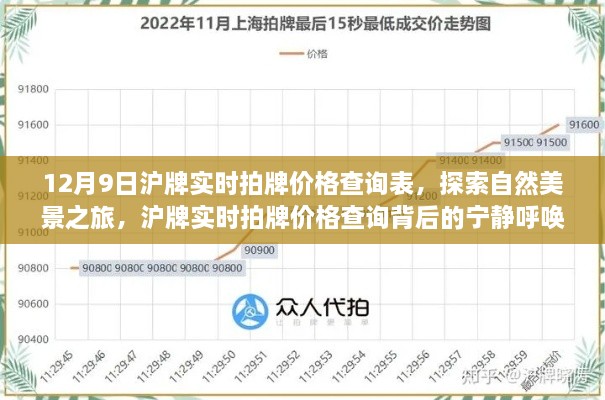 12月9日沪牌实时拍价查询与自然美景探索之旅的宁静呼唤