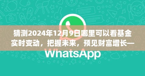 见证未来财富增长，把握基金实时变动之旅，2024年12月9日揭晓！