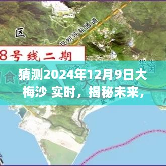 揭秘大梅沙海域未来生态与环境展望，2024年12月9日海洋生态实时揭秘