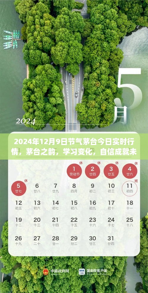 茅台之韵，2024年12月9日实时行情启示录，洞悉变化，自信筑梦未来