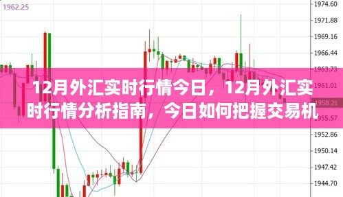 12月外汇实时行情解析，把握今日交易机遇的指南