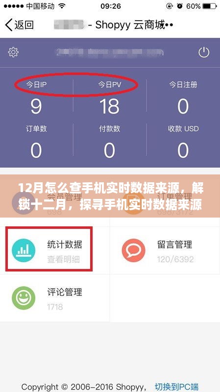 探寻手机实时数据来源的奥秘，十二月开启自信与成就之旅的指南