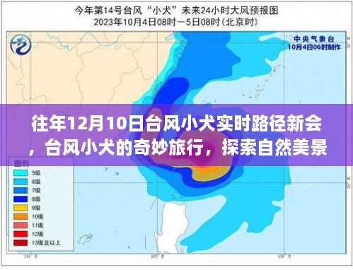 台风小犬奇妙之旅，探索自然美景，追寻内心宁静的旅程（往年12月10日实时路径新会）