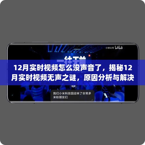 揭秘无声之谜，12月实时视频为何突然失声？原因分析与解决建议