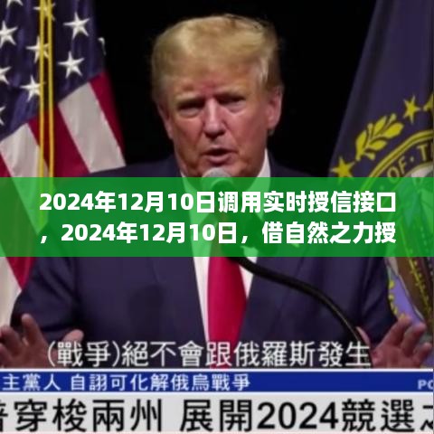 2024年12月10日 第8页