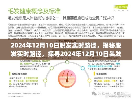 揭秘脱发实时路径，探寻头发健康之旅在2024年12月10日的进展与启示