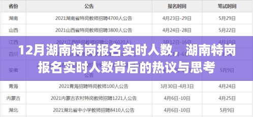 湖南特岗报名实时人数热议与思考，背后的真相与启示