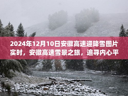 安徽高速迎降雪美景，冬日雪景之旅探寻内心平静的时刻（实拍图片）