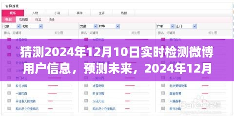 2024年12月10日微博用户信息实时检测探析，预测未来的深度洞察