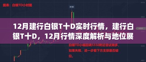 2024年12月11日 第28页