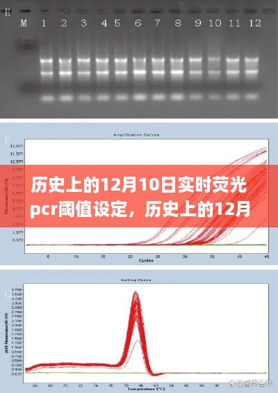 历史上的12月10日，实时荧光PCR阈值设定的探索之旅