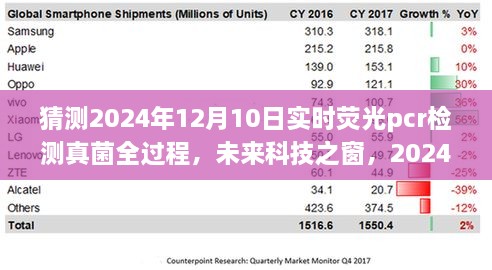 2024年12月11日 第25页