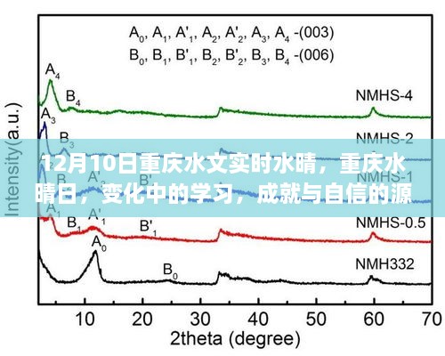 重庆水晴日下的学习成就与自信之源，变化中的探索与成长之路