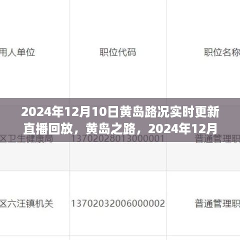 2024年12月10日黄岛路况实录与深度解读，实时更新直播回放