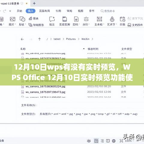 WPS Office 12月10日实时预览功能使用详解