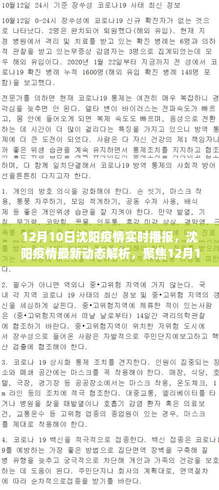 沈阳疫情最新动态解析，聚焦实时播报与个人观点（12月10日更新）