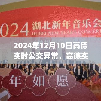 高德实时公交遭遇罕见异常事件揭秘，亲历者揭示背后的故事（2024年12月10日）