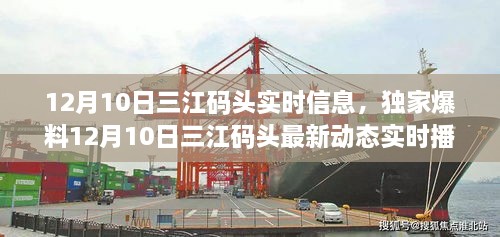 独家爆料，三江码头最新动态实时播报（12月10日更新）