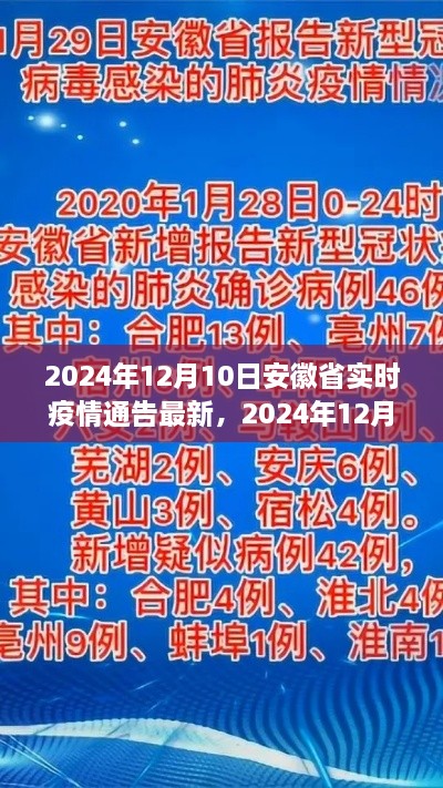 2024年12月11日 第8页