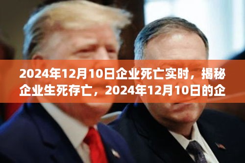 揭秘企业生死存亡，企业死亡实时真相揭秘（2024年12月10日）