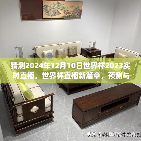 世界杯直播新篇章，预测与探讨2024年世界杯实时直播的机遇与挑战