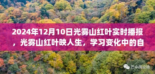 光雾山红叶映人生，自信与成就之旅的实时播报（2024年12月）