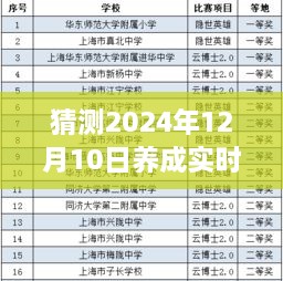 超越未来，掌握实时号养成秘籍，迈向数字新时代——2024年实时号养成教程揭秘