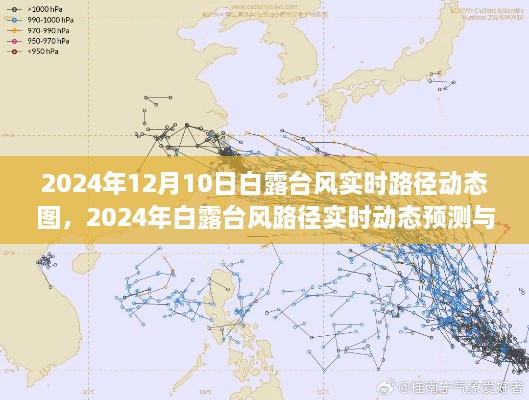 2024年白露台风实时路径动态图及预测影响分析