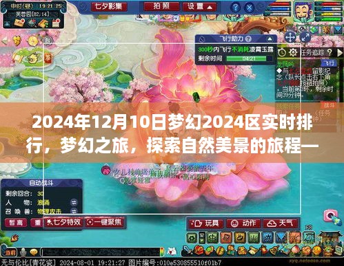 2024年12月12日 第109页