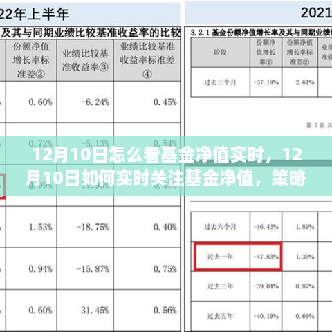 12月10日基金净值实时关注策略与技巧，如何掌握基金动态