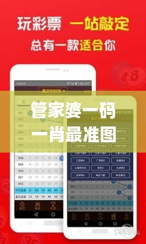 管家婆一码一肖最准图片,数据实施整合方案_SHD7.172