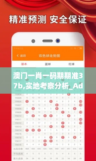 澳门一肖一码期期准37b,实地考察分析_Advance12.272
