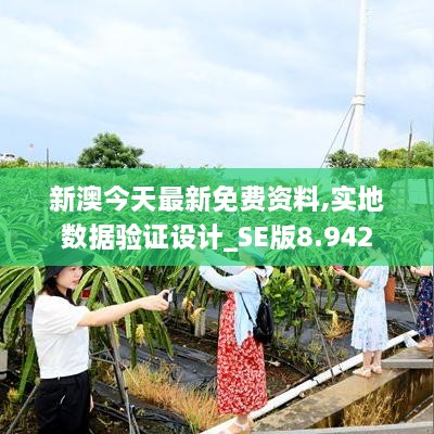 新澳今天最新免费资料,实地数据验证设计_SE版8.942