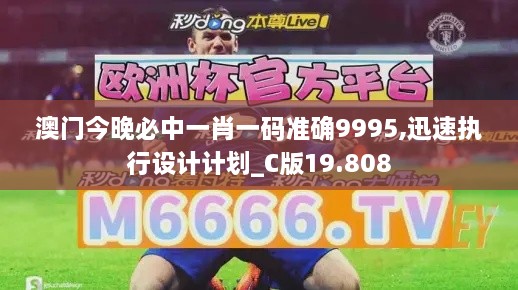 澳门今晚必中一肖一码准确9995,迅速执行设计计划_C版19.808