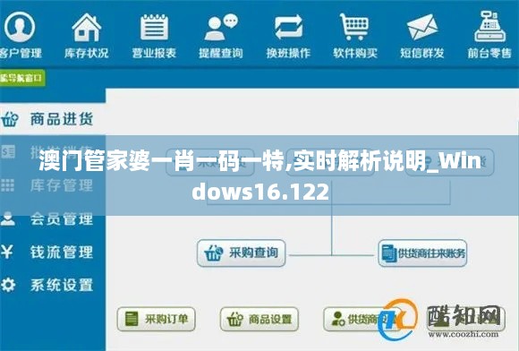 澳门管家婆一肖一码一特,实时解析说明_Windows16.122