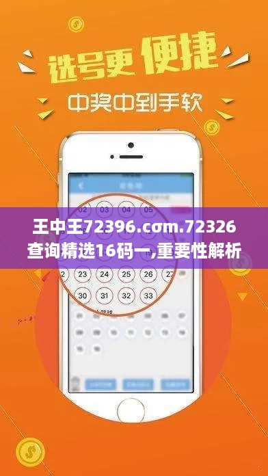 王中王72396.cσm.72326查询精选16码一,重要性解析方法_特别版2.155