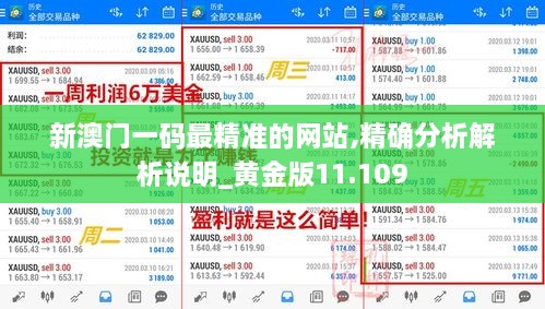 新澳门一码最精准的网站,精确分析解析说明_黄金版11.109