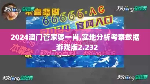 2024澳门管家婆一肖,实地分析考察数据_游戏版2.232