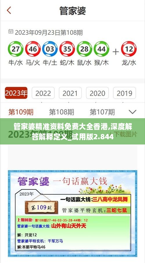 管家婆精准资料免费大全香港,深度解答解释定义_试用版2.844