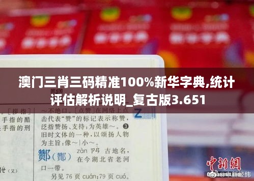 澳门三肖三码精准100%新华字典,统计评估解析说明_复古版3.651