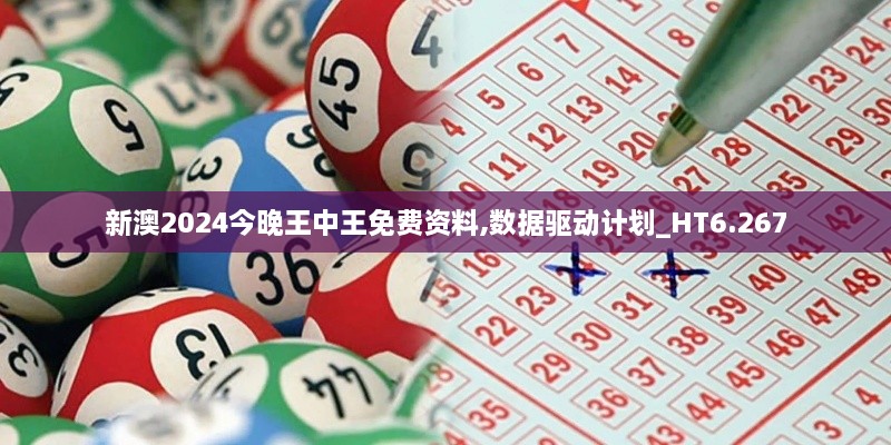 新澳2024今晚王中王免费资料,数据驱动计划_HT6.267