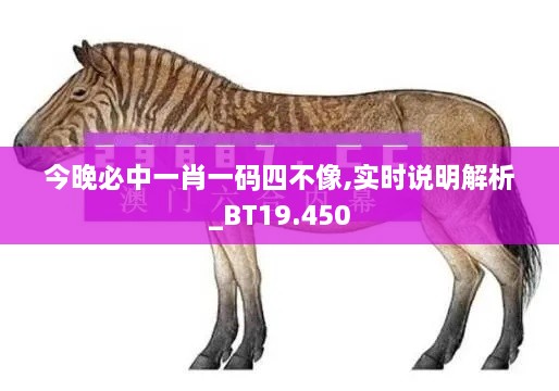 今晚必中一肖一码四不像,实时说明解析_BT19.450