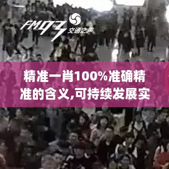 精准一肖100%准确精准的含义,可持续发展实施探索_网页版7.275