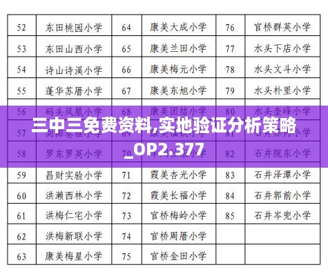 三中三免费资料,实地验证分析策略_OP2.377